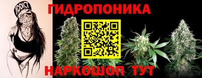 a pvp Кудрово