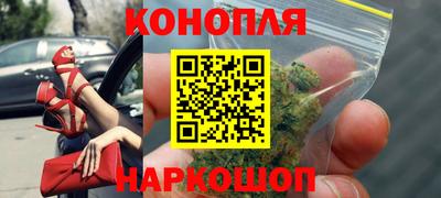 PSILOCYBIN Кинель